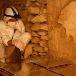 Il Museo di Northampton verso la riapertura grazie ai soldi della vendita della statua di Sekhemka - Djed Medu
