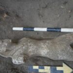 Scoperto il porto da dove partivano le barche che trasportavano l'arenaria di Gebel el-Silsila - Djed Medu