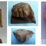 “XXVII Rassegna Internazionale del Cinema Archeologico” (Rovereto, 4-8 ottobre 2016) - Djed Medu