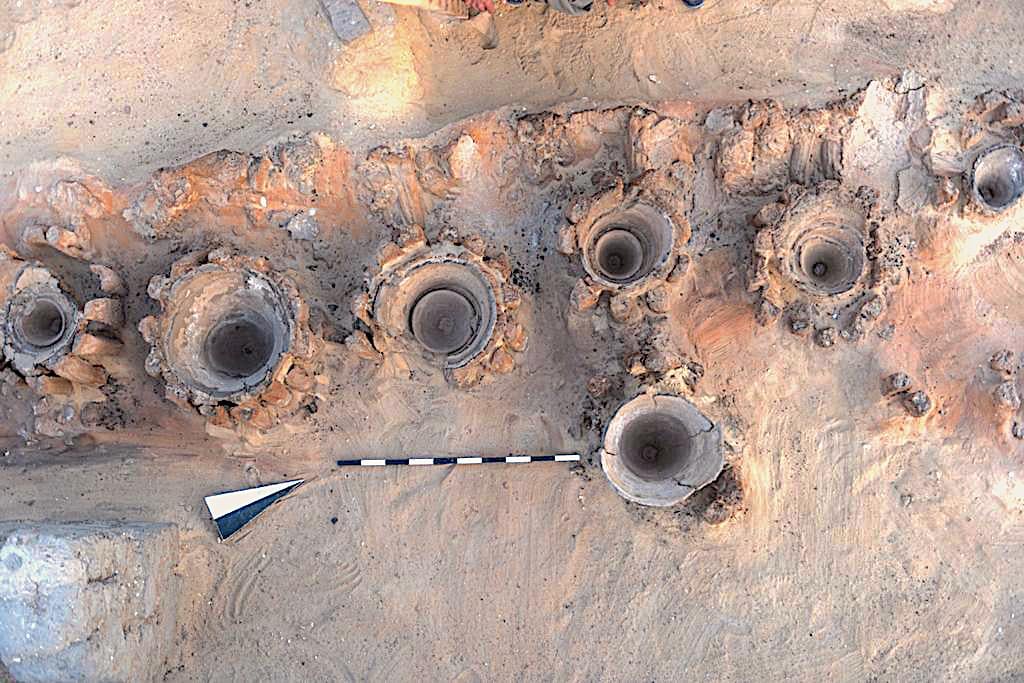 Un anno (l'8°) di Djed Medu: le notizie egittologiche più importanti del 2021 - Djed Medu