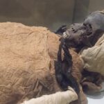 Reeves non si arrende: "Nella tomba di Tutankhamon era sepolta Nefertiti" - Djed Medu
