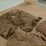 Nuovo database online delle tombe della Necropoli Tebana - Djed Medu