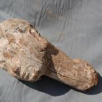 Abusir, scoperto complesso templare di Ramesse II - Djed Medu