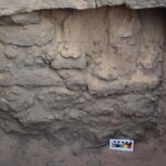 Deir el-Bahari: (ri)scoperte 56 giare con materiale per mummificazione - Djed Medu