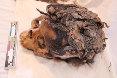 Amarna: le extension e i capelli tinti degli scheletri di 3300 anni - Djed Medu