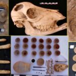 1 Maggio: in Egitto il primo sciopero della storia - Djed Medu
