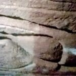 Trasferita nella notte la barca solare di Cheope al Grand Egyptian Museum - Djed Medu