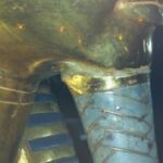 Il museo archeologico dell'Aeroporto del Cairo si amplia - Djed Medu
