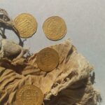 Scoperte 10 tombe di Epoca Tarda ad Assuan - Djed Medu