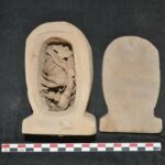 Sequenziato il DNA di 93 mummie di Abusir el-Malek - Djed Medu