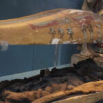 Bufale eGGizie*: Kherima, la mummia del Museo Nazionale del Brasile che mandava in trance i visitatori - Djed Medu