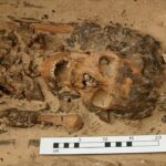 Abusir, scoperto complesso templare di Ramesse II - Djed Medu