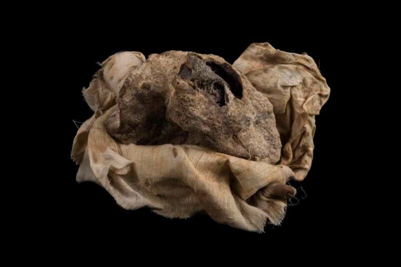 Il cuore mummificato di un visir di 4000 anni - Djed Medu