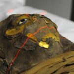Disponibili online i modelli per stampe 3D dei reperti del British Museum - Djed Medu