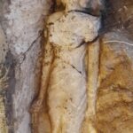 Scarabei, gatti, cobra, coccodrilli e tanto altro: gli aggiornamenti sulla scoperta di Saqqara - Djed Medu