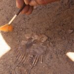 Scoperte due tombe di Epoca Tarda ad Assuan - Djed Medu