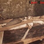 Giza, scoperta tomba di due sacerdoti di V dinastia - Djed Medu