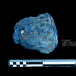 blu egizio alla domus aurea