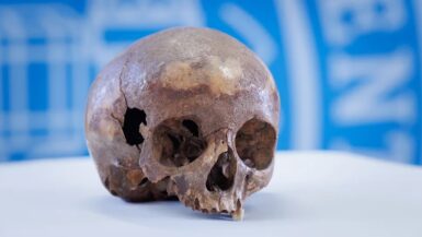 Cranio di Arsinoe