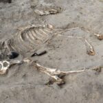 Djed Medu - Blog di Egittologia di Mattia Mancini
