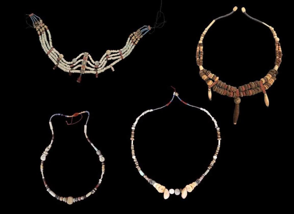 Scoperta a Tell el-Abqein la sepoltura di un cavallo in una fortezza di Nuovo Regno - Djed Medu